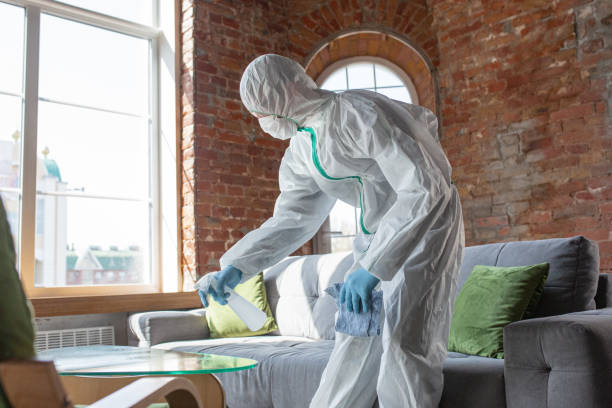 Why You Should Choose Our Mold Remediation Services in Hopkins, SC